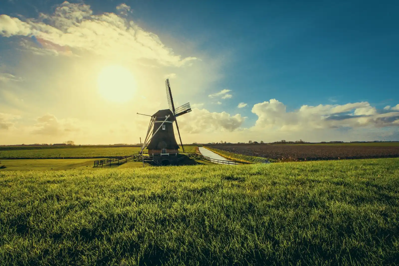 Traditional Dutch windmill in green fields at sunset