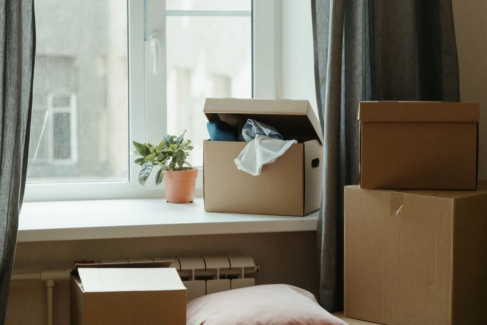 Moving boxes and a plant by the window of a new apartment