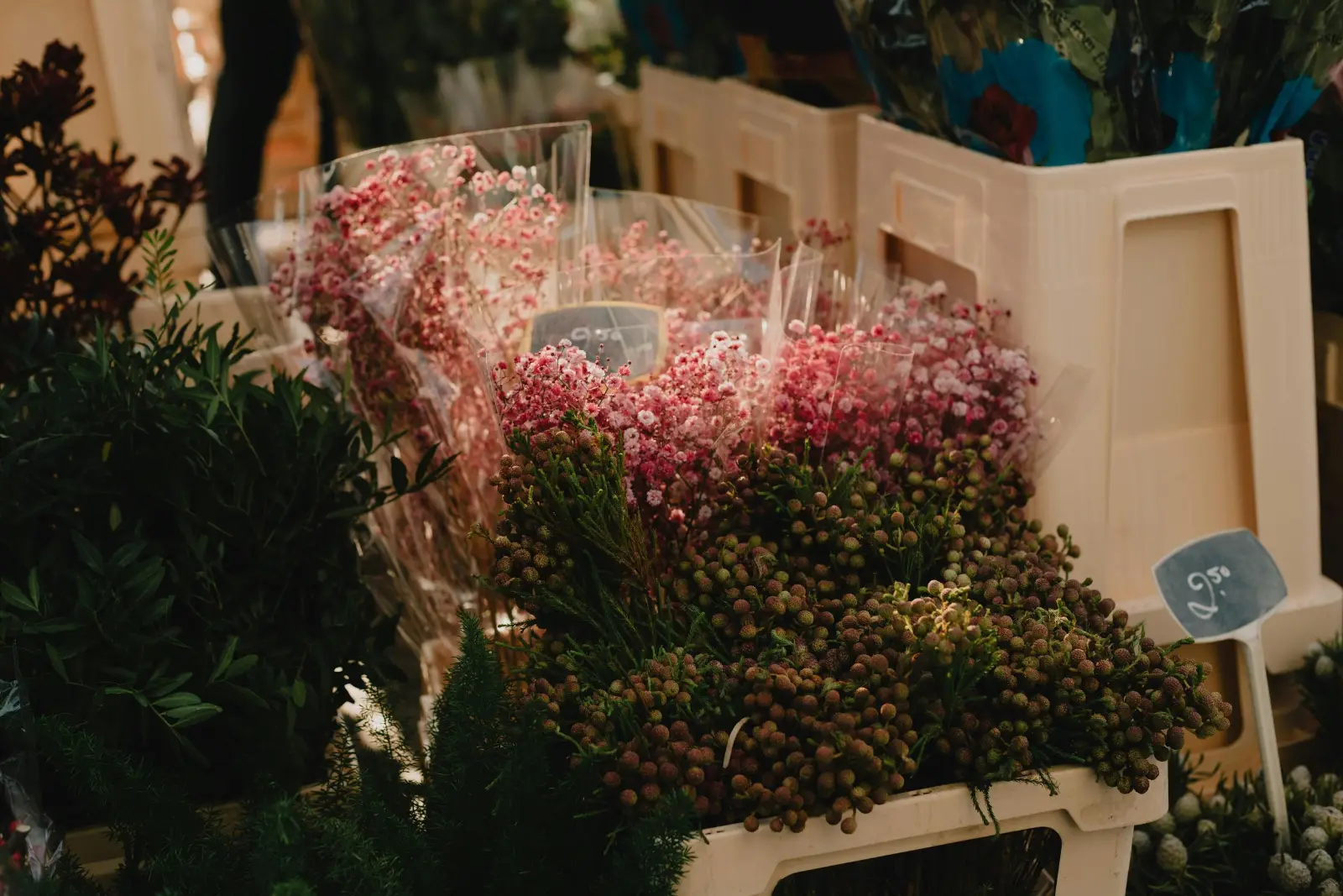 Fresh flowers and plants at a Dutch flower market stall